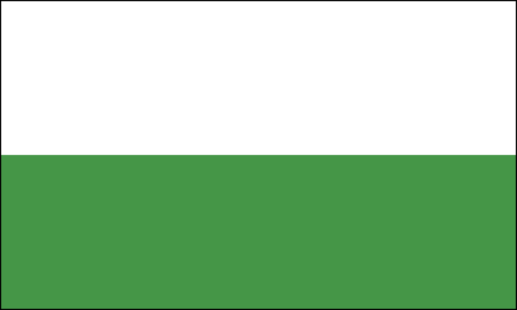 Grüne Grün Fahne Flagge Unifarben Flaggen NEUWARE 