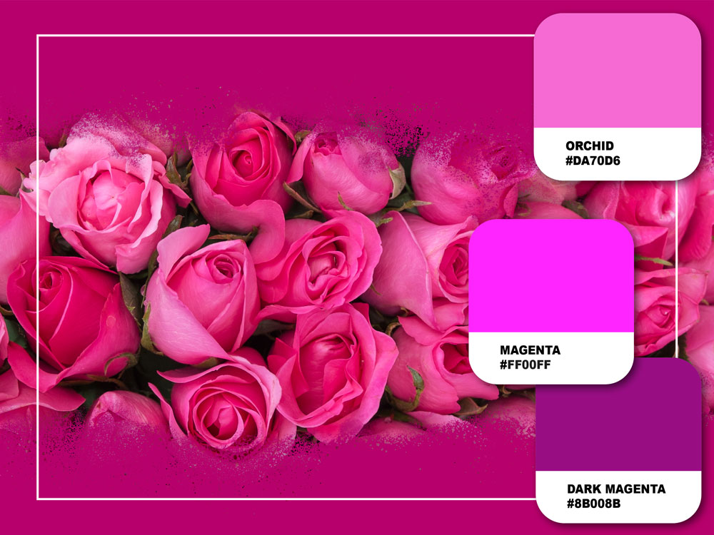 Farben im Marketing, Pink, Rosa, Magenta