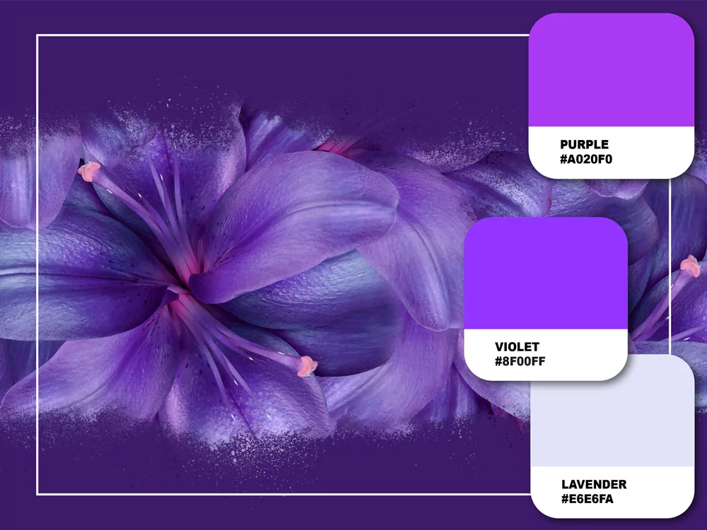 Farben im Marketing, Violett