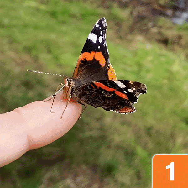 Photoshop Hintergrund Entfernen Tutorial Einfach Schnell