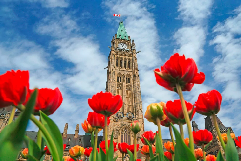 Ottawa, Tulipfestival