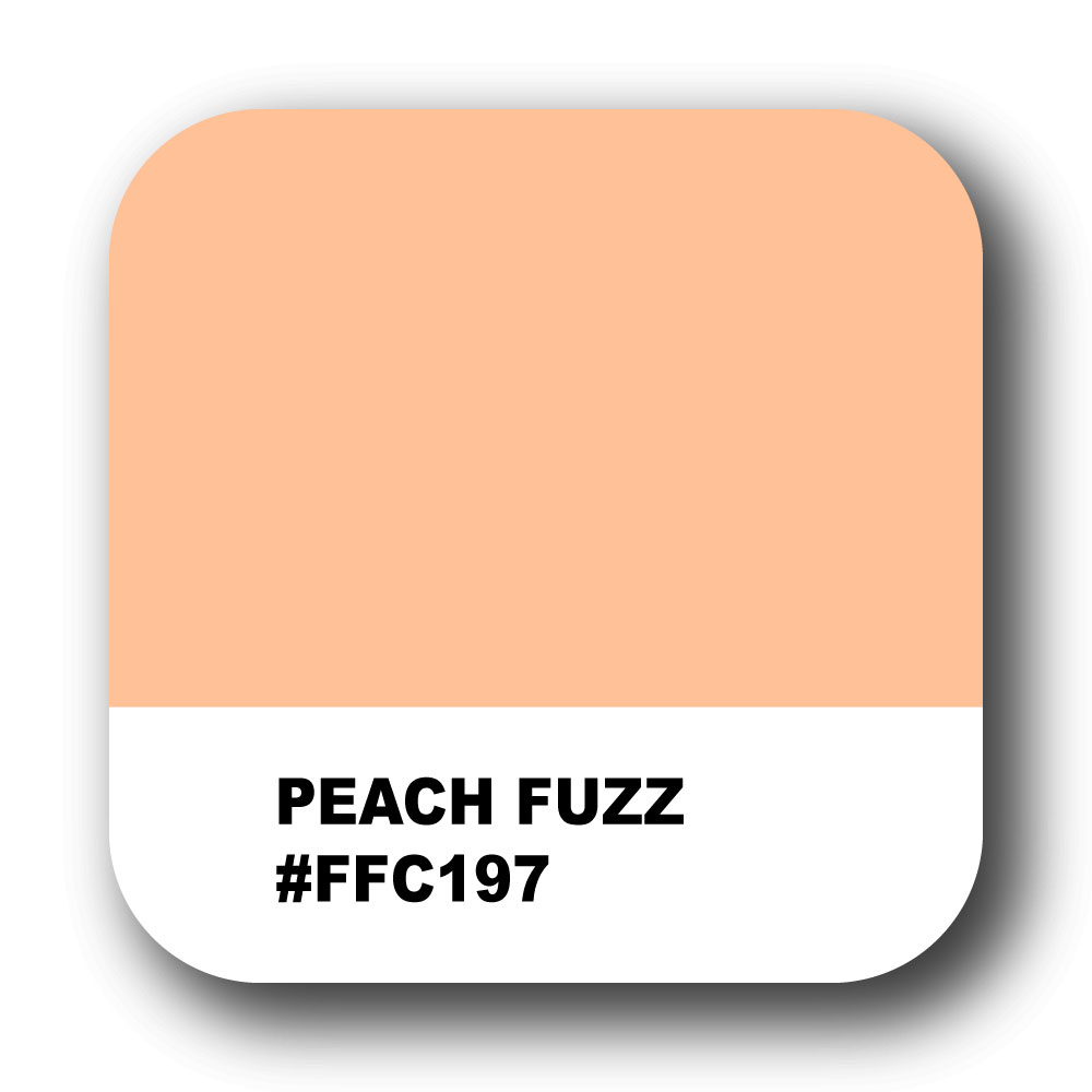 Pantone Farbe des Jahres 2024 Peach Fuzz