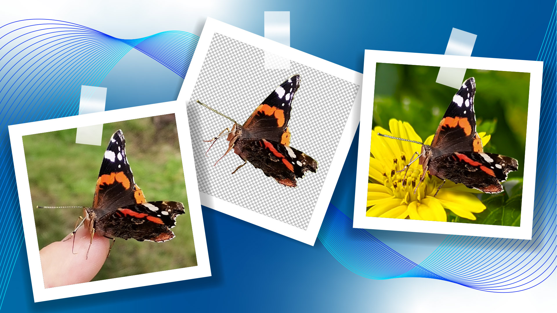 Photoshop Hintergrund Entfernen Tutorial Vispronet Blog photoshop-hintergrund-entfernen-tutorial-vispronet-blog