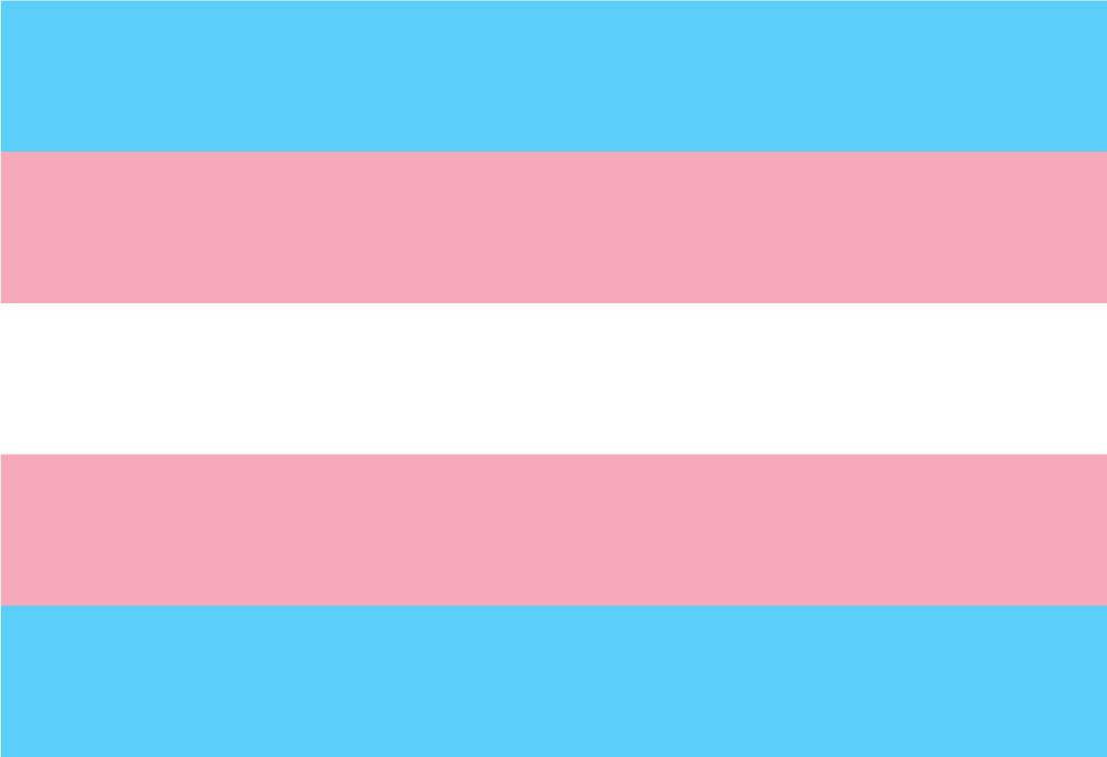 Transgender Stolzfahne