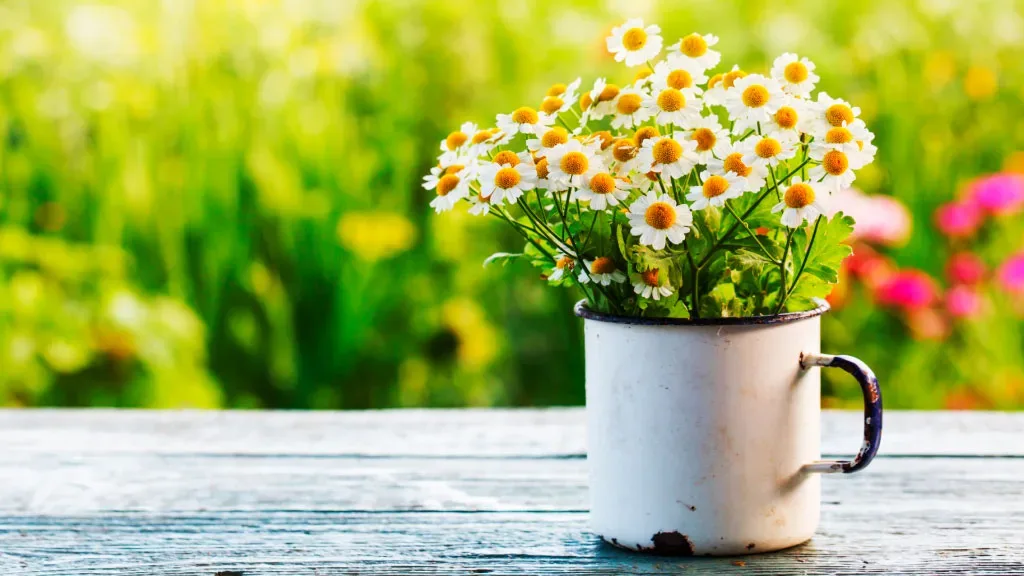 Urlaub zu Hause, Blumenstrauß