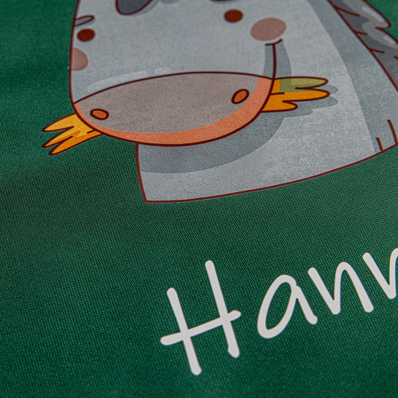 Detailaufnahme DTF Transfer 