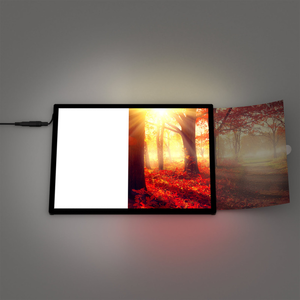 Posterrahmen LED, kinderleichter Druckteilwechsel, einschieben & fertig