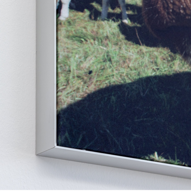 Wandrahmen Q-Frame®, Profil 25 mm, Detail Ecke