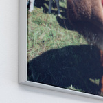 Wandrahmen Q-Frame® im Hochformat, Profil 15 mm