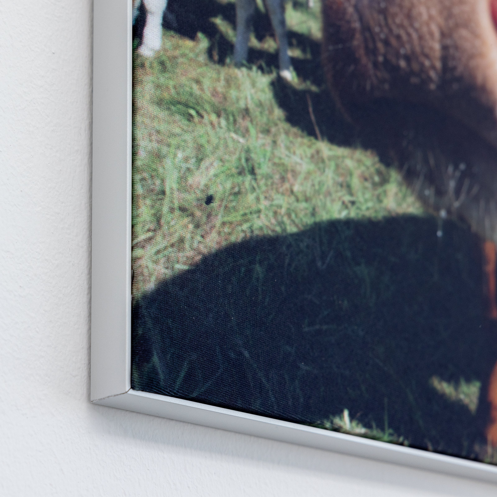 Wandrahmen Q-Frame® im Hochformat, Profil 15 mm