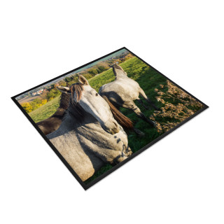 Fußmatte 80 x 60 cm - Pferde