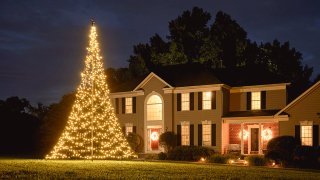 Fairybell®-Weihnachtsbaum in einem Garten